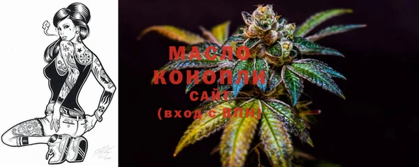 дмт Абинск