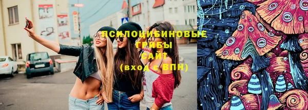 стаф Нязепетровск