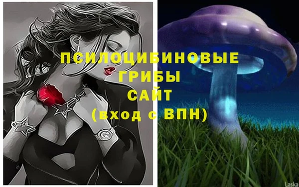 амф Абдулино